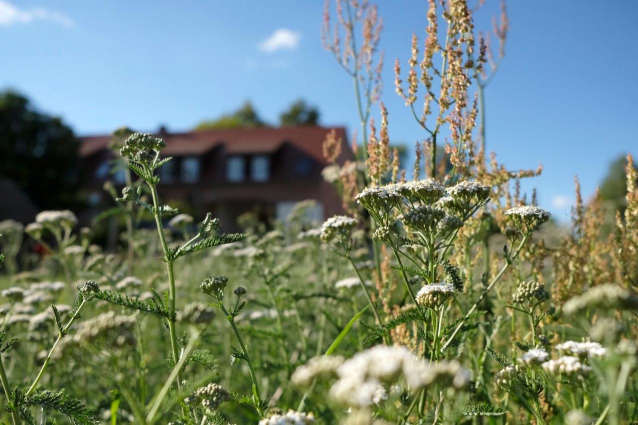 Ferienwohnung Mohnblume Pulzig Luaran gambar