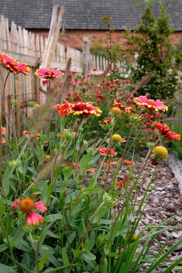Ferienwohnung Mohnblume Pulzig Luaran gambar